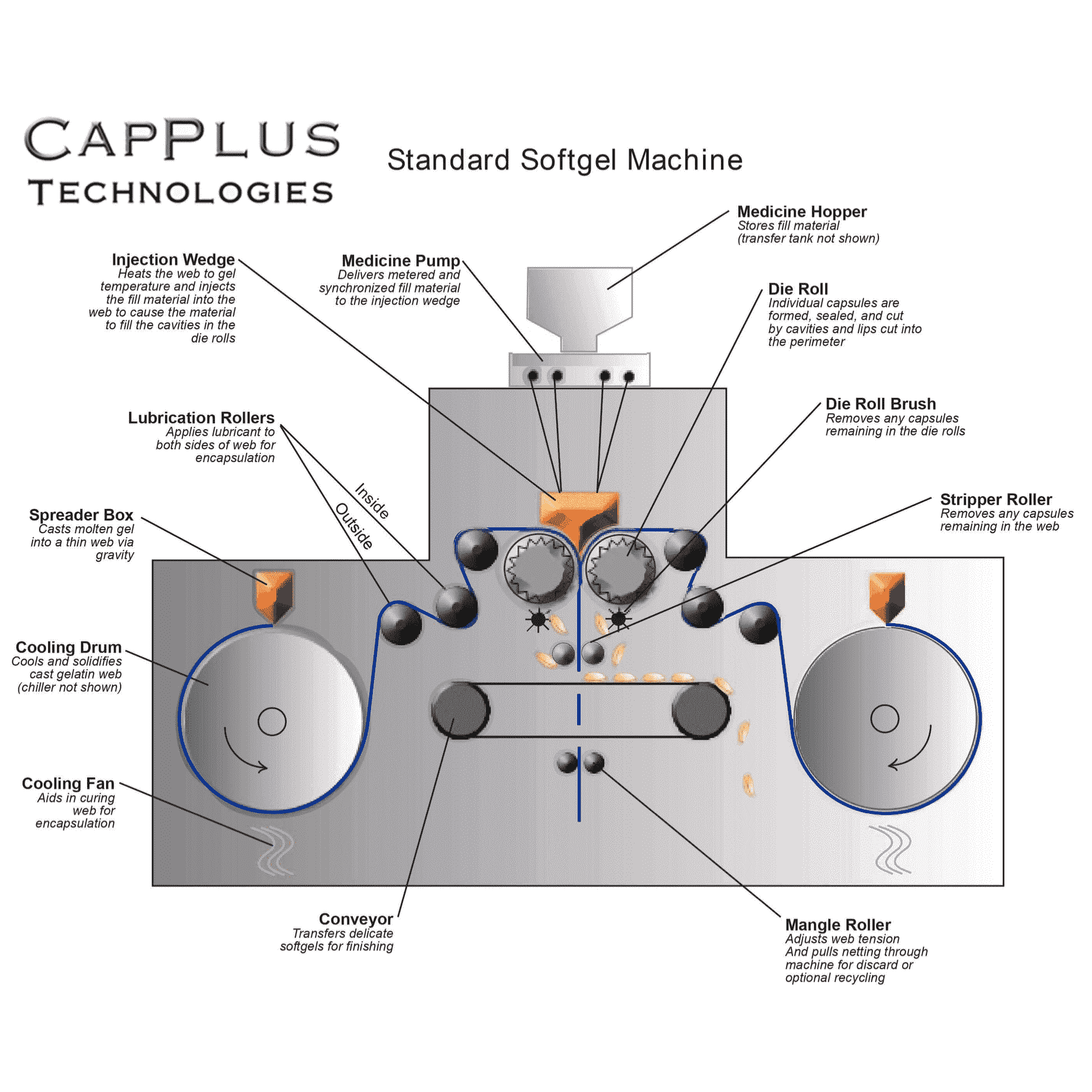 softgel manufacturing process